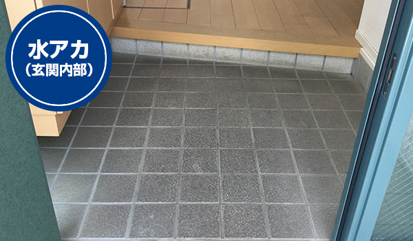 水アカ(玄関内部)